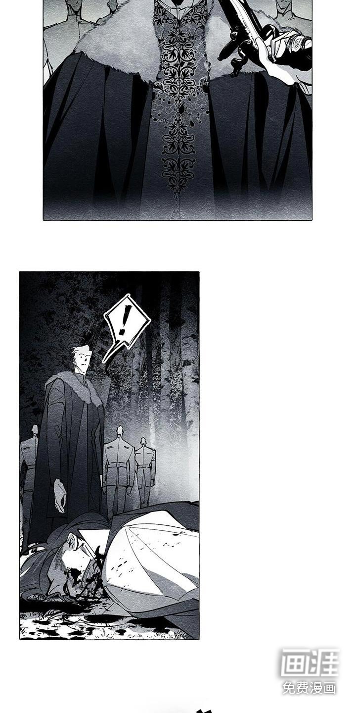 第52章：为什么