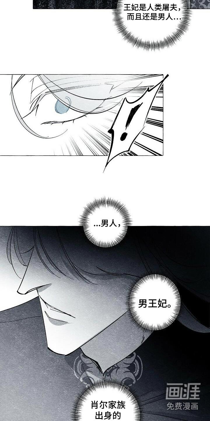 第62章：你说什么