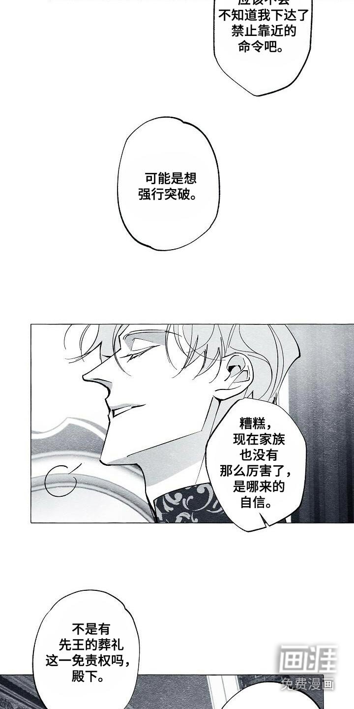 第63章：保护我的王妃
