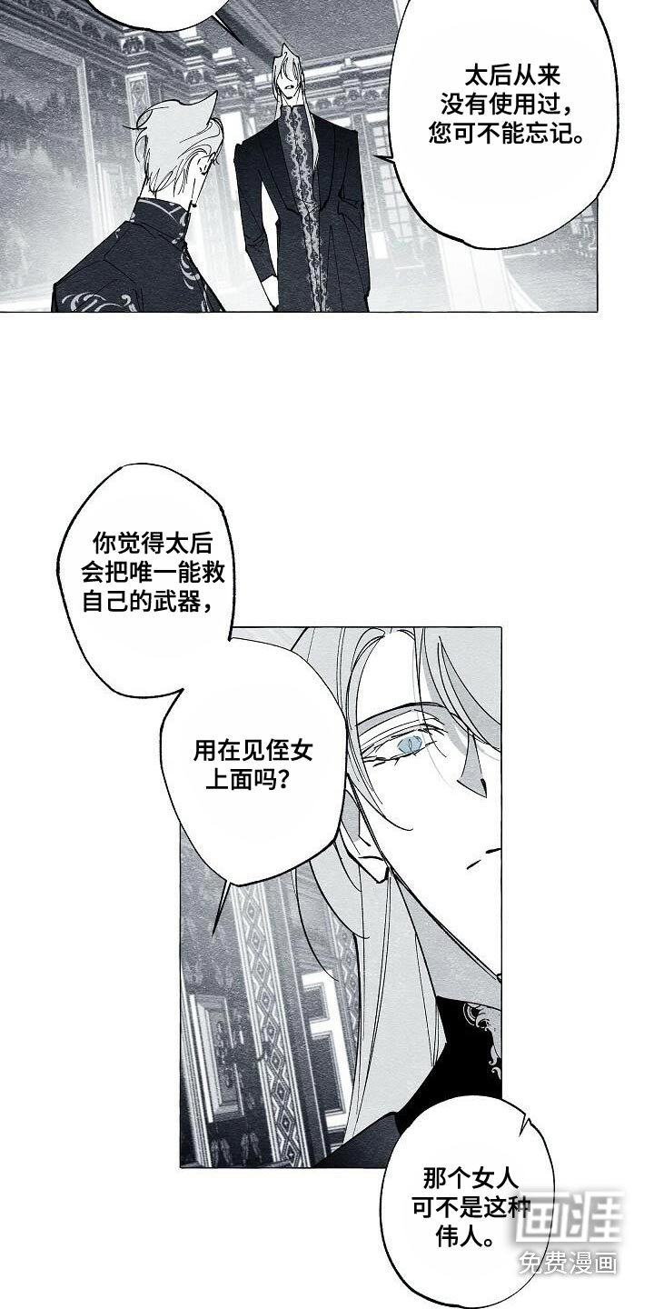 第63章：保护我的王妃