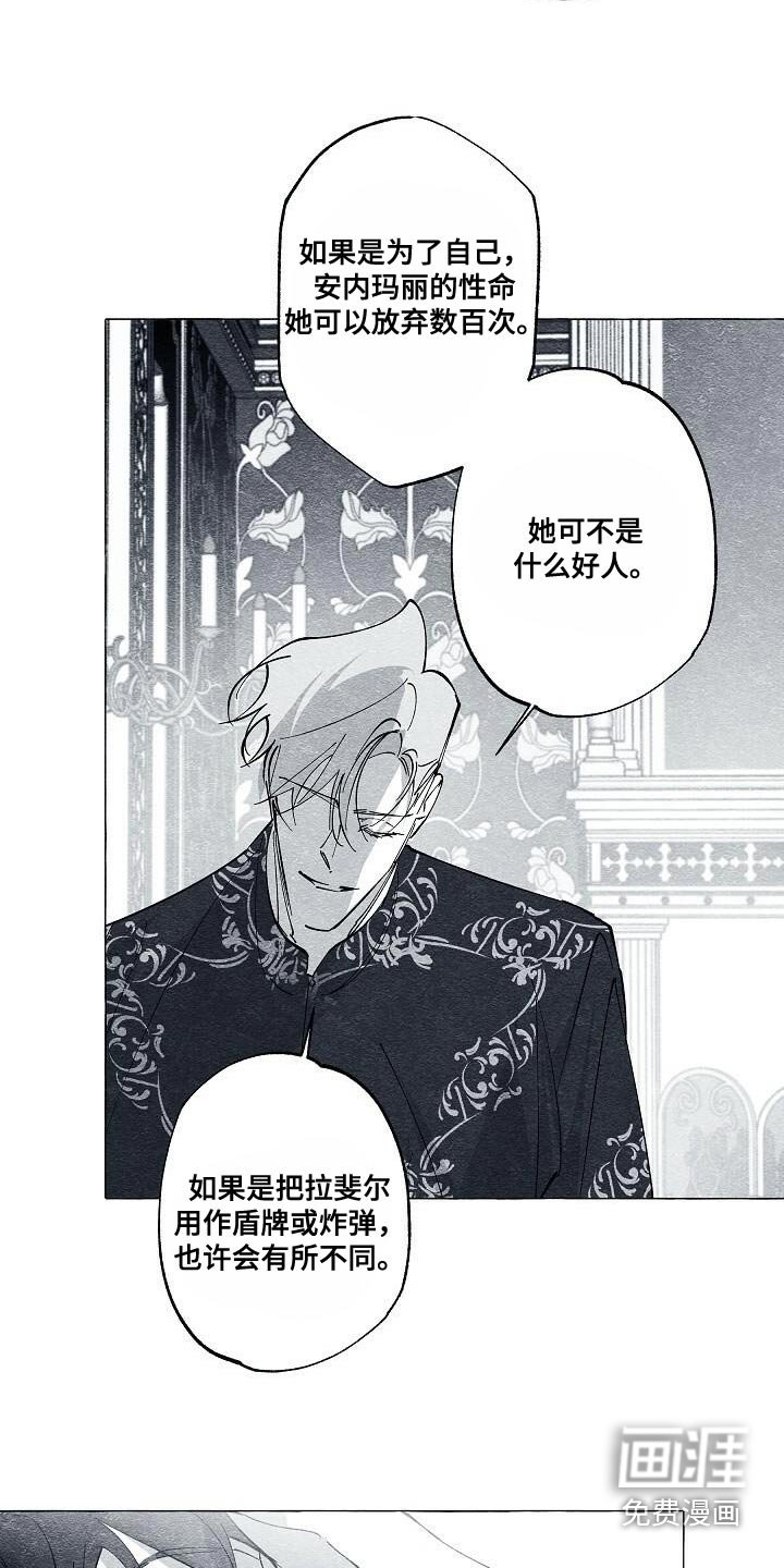 第63章：保护我的王妃
