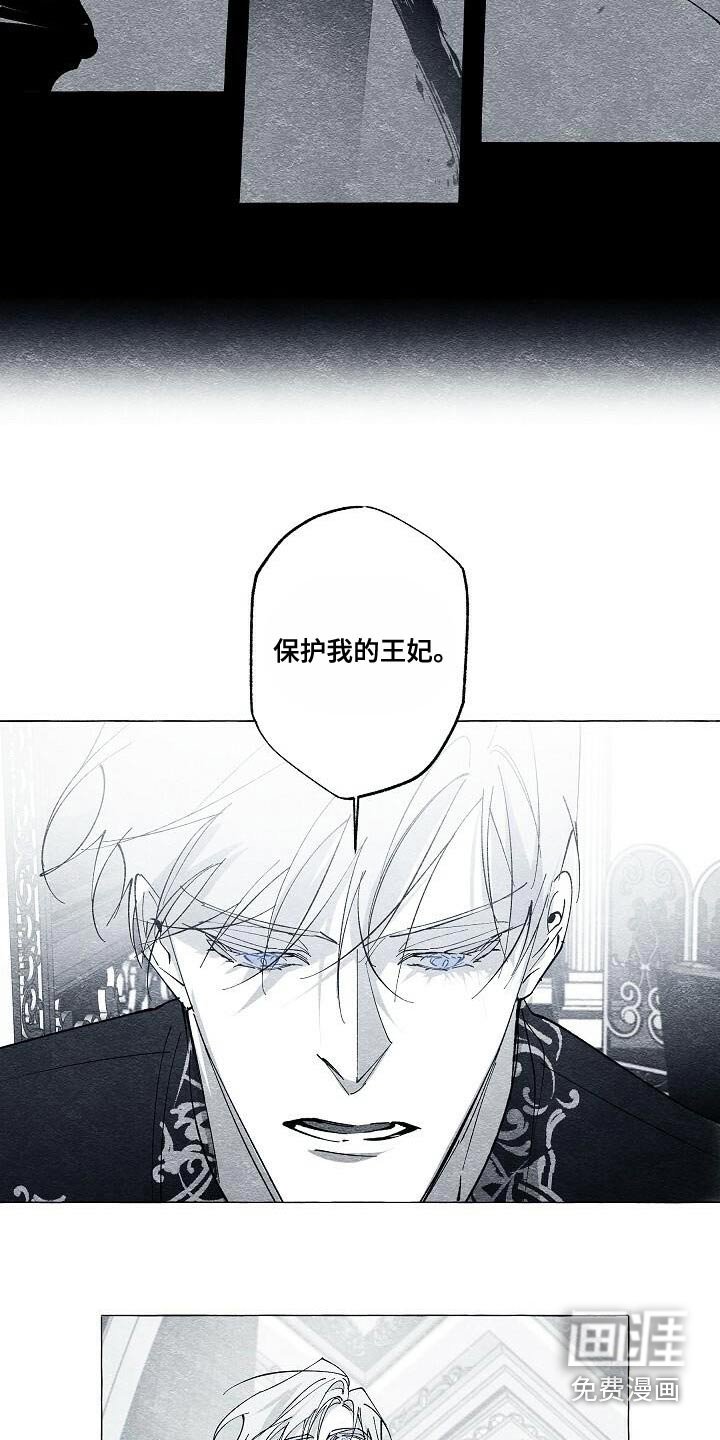 第63章：保护我的王妃