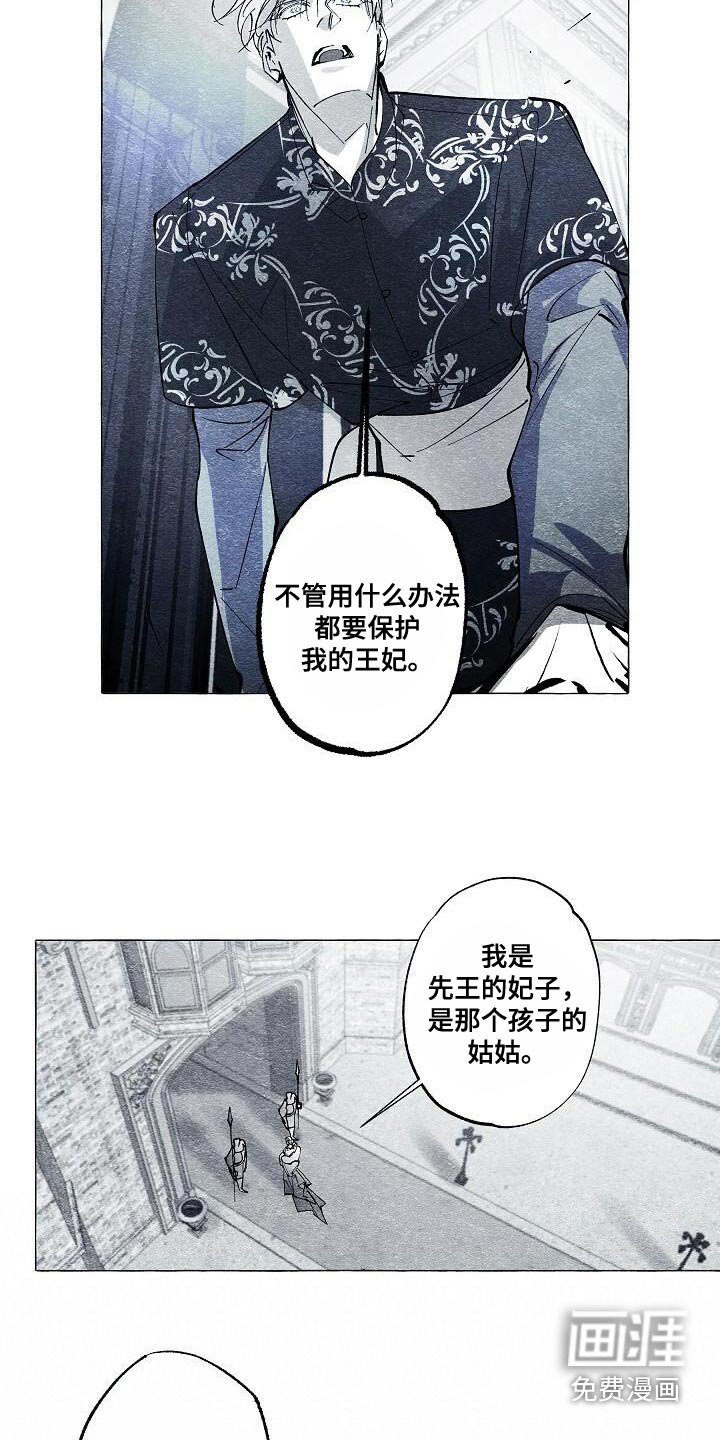 第63章：保护我的王妃