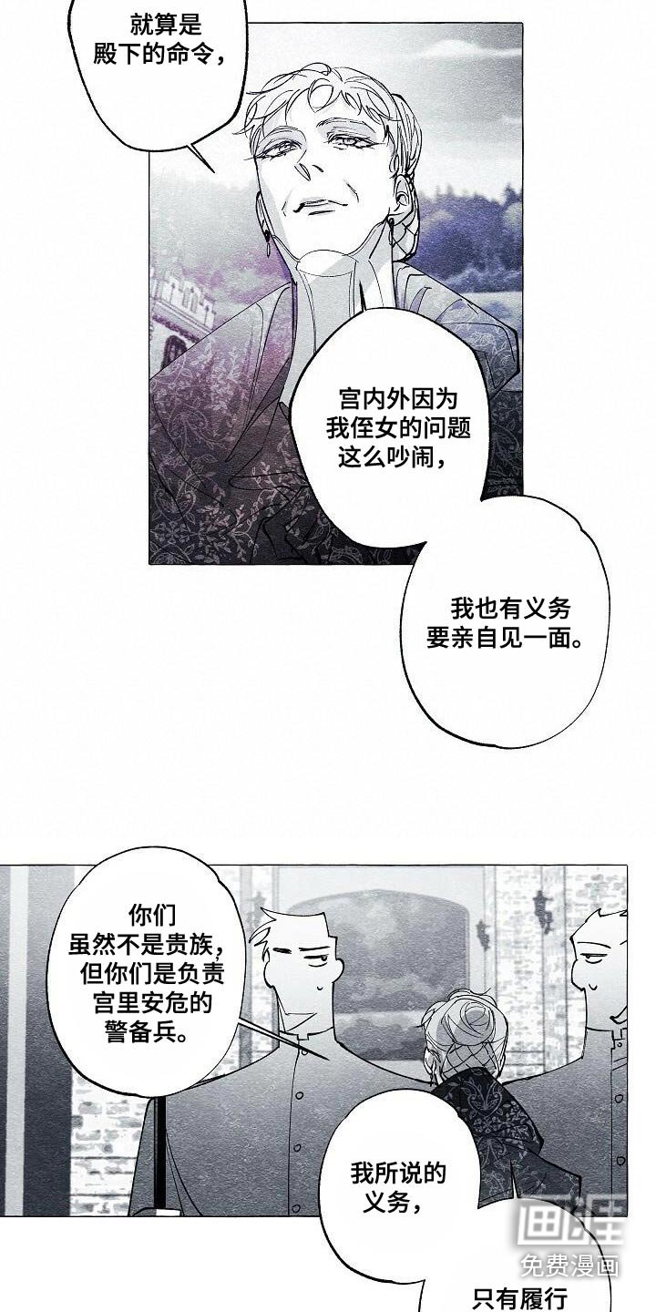 第63章：保护我的王妃