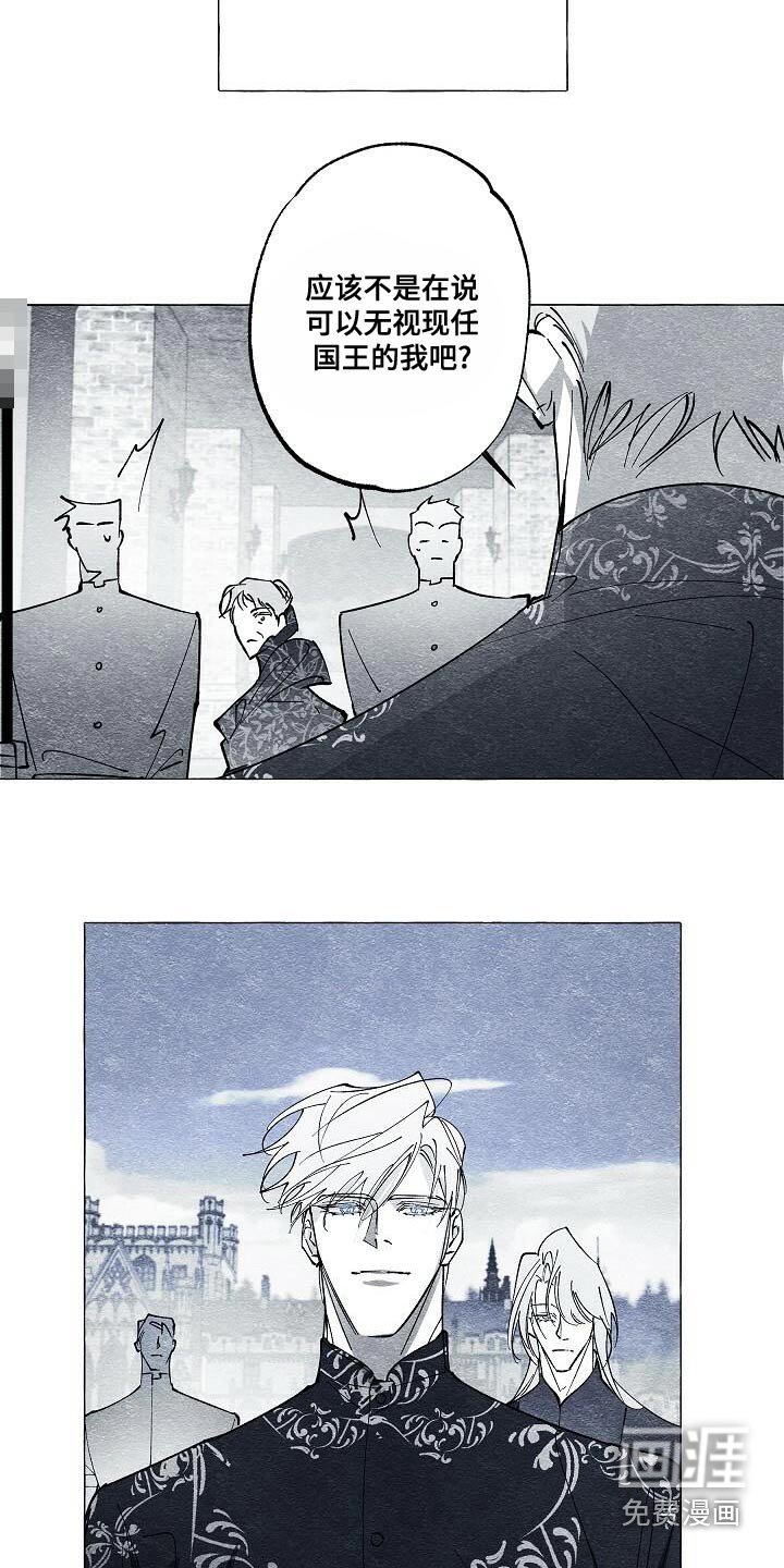 第63章：保护我的王妃
