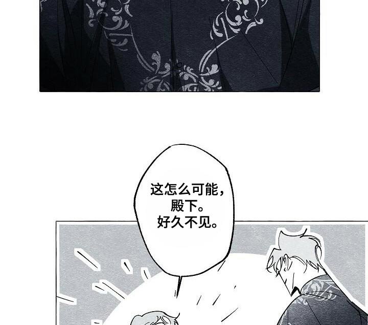 第63章：保护我的王妃