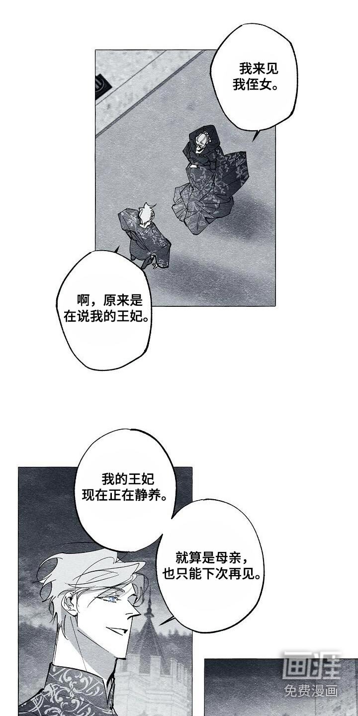 第63章：保护我的王妃