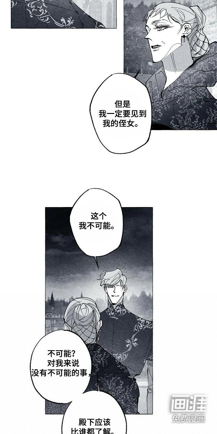 第63章：保护我的王妃