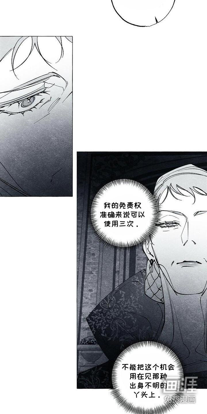 第63章：保护我的王妃