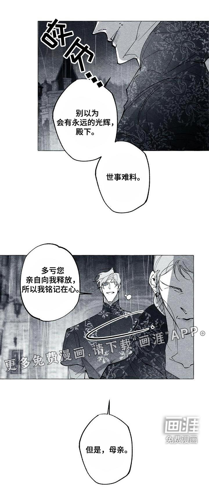 第63章：保护我的王妃
