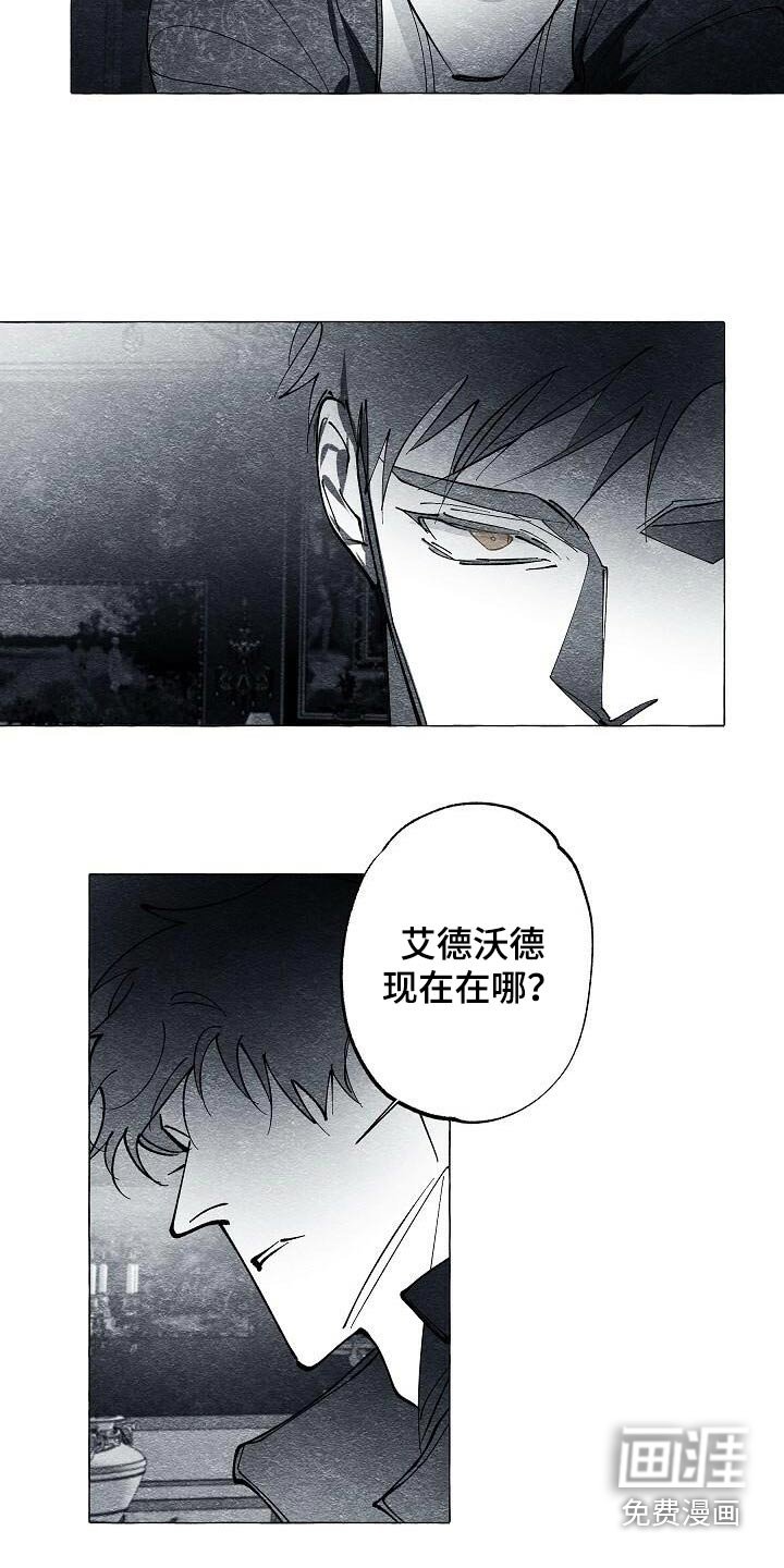 第66章：很远的地方
