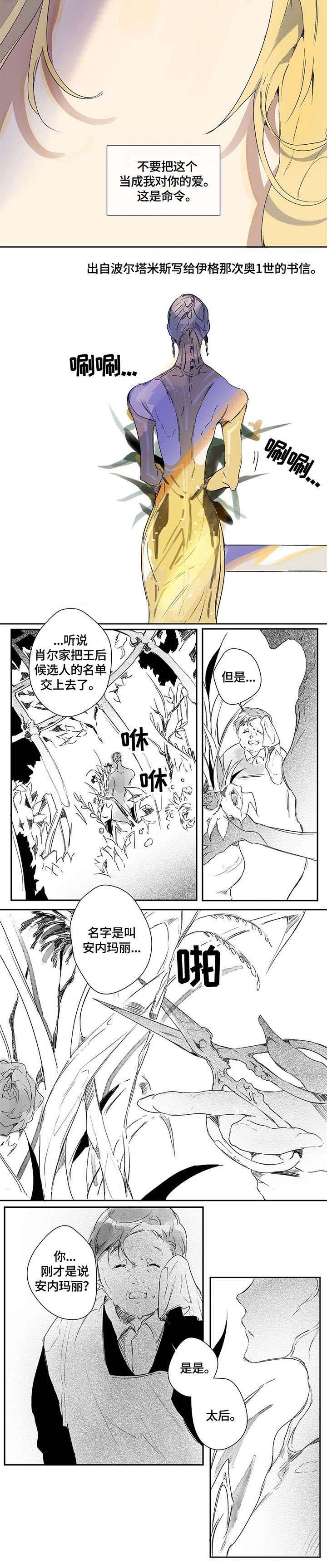 第8章：太后