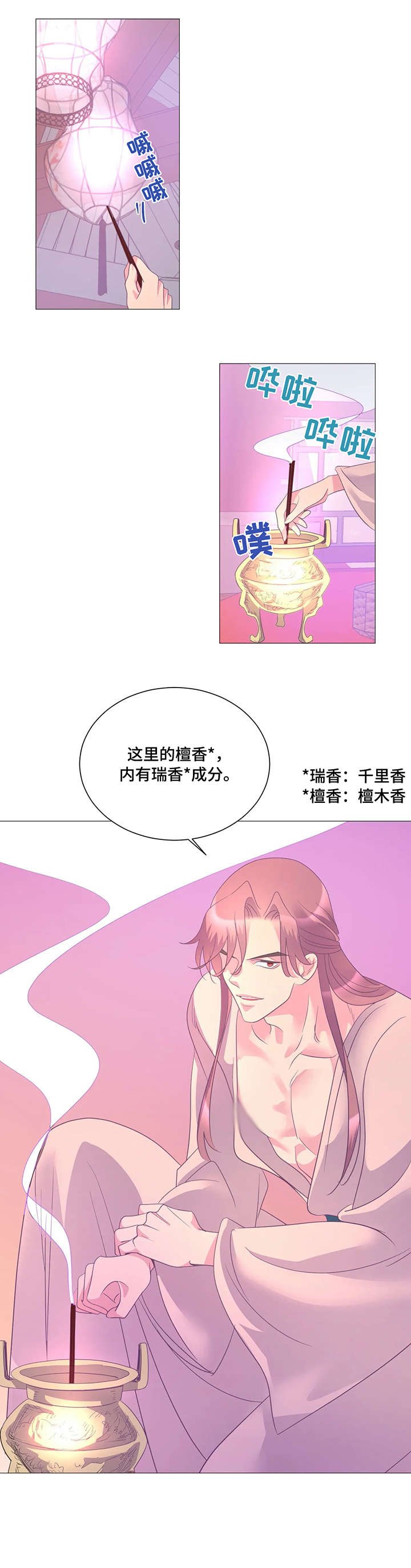 第12章：配合