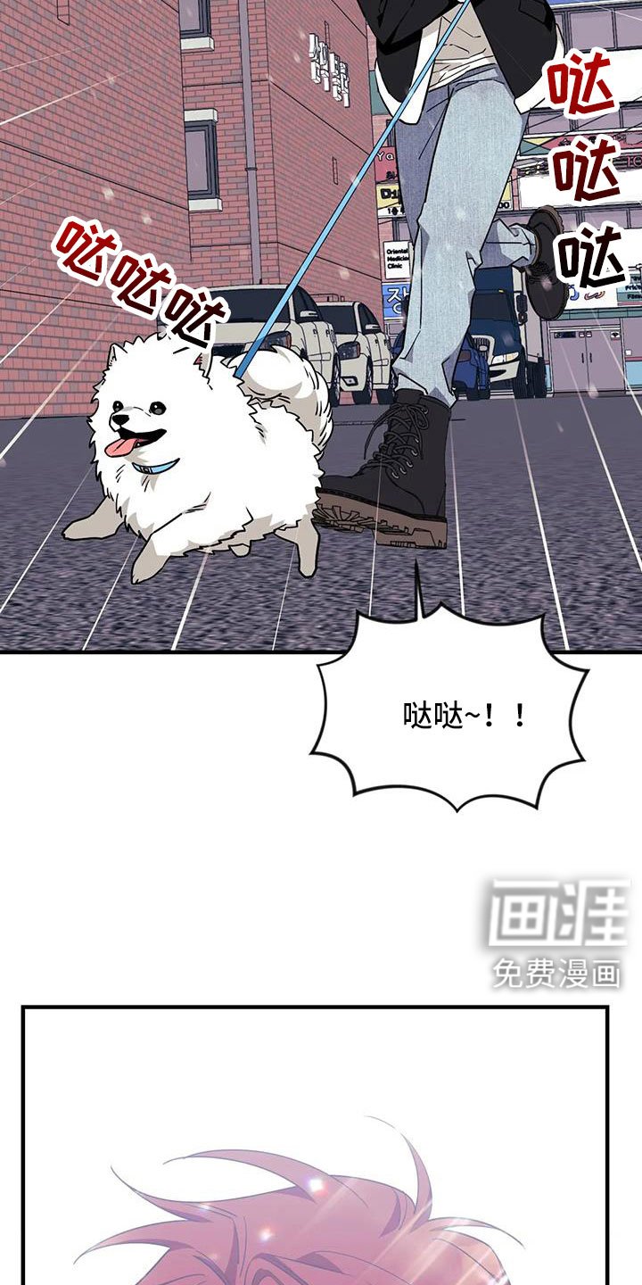 第105章：【第三季】偶遇