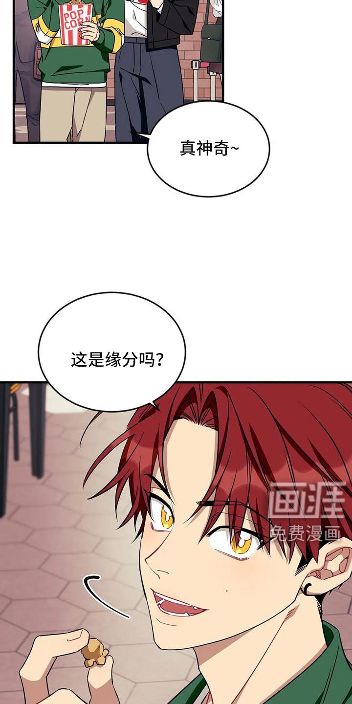 第110章：【第三季】很喜欢你