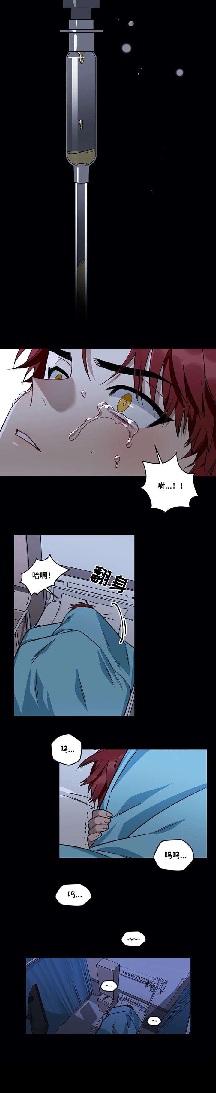 第19章：收养