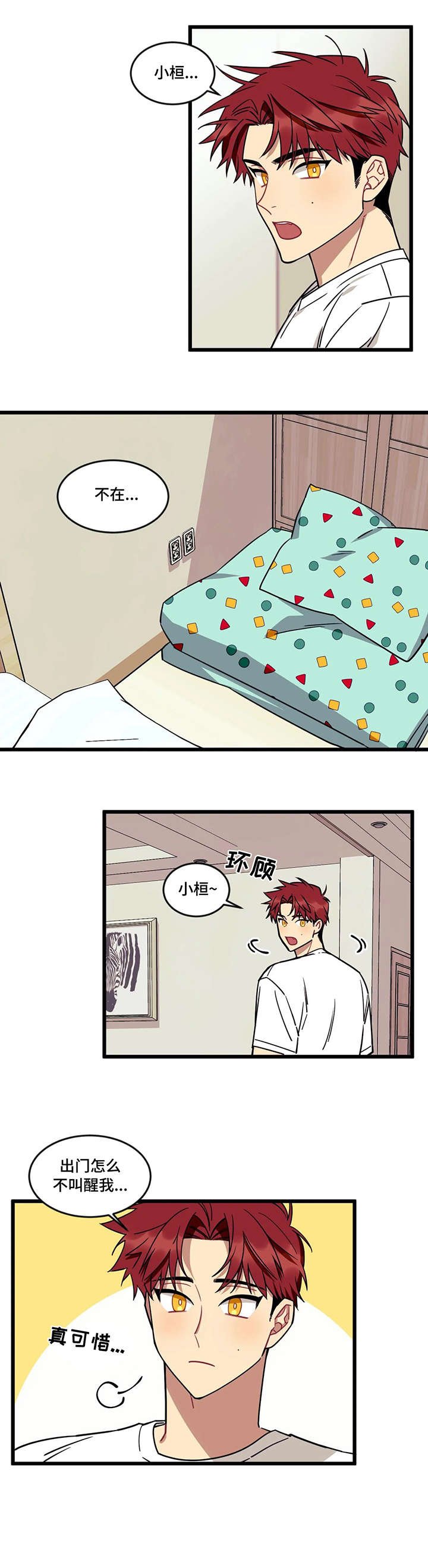 第20章：流浪狗