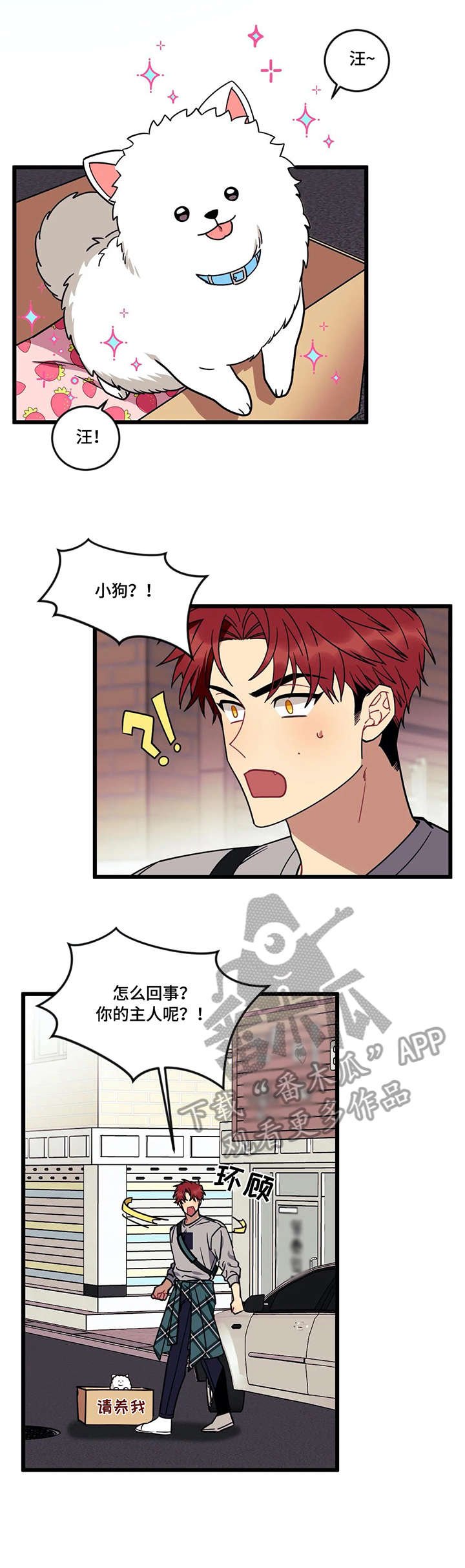 第20章：流浪狗