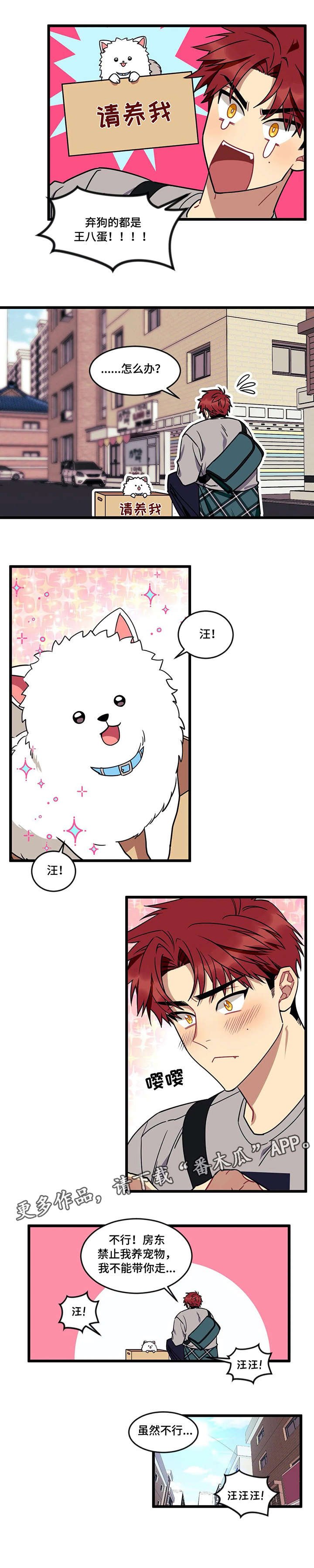 第20章：流浪狗
