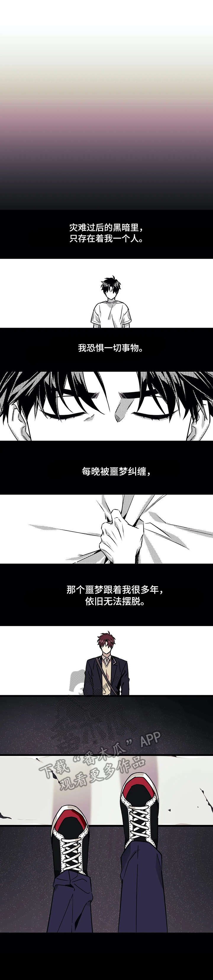 第24章：光