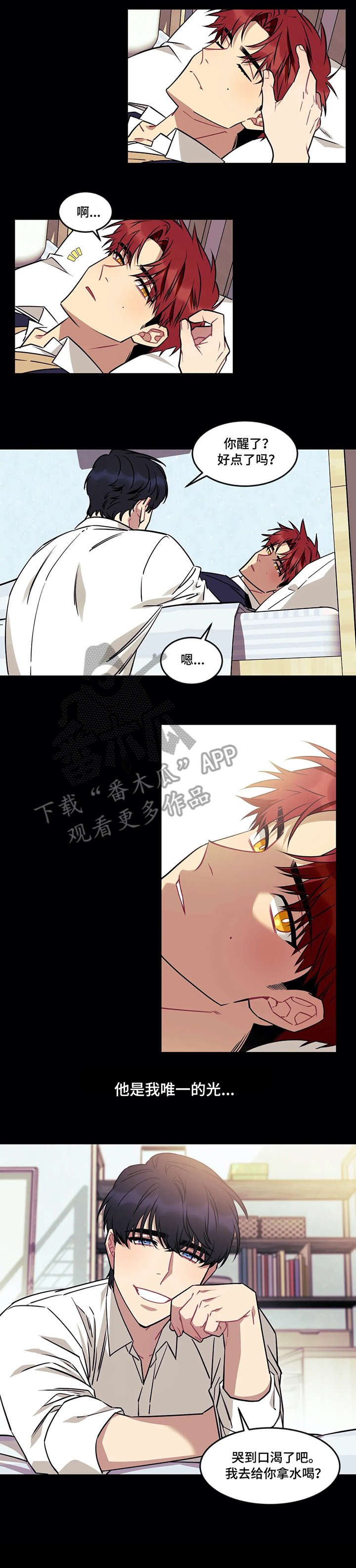 第24章：光