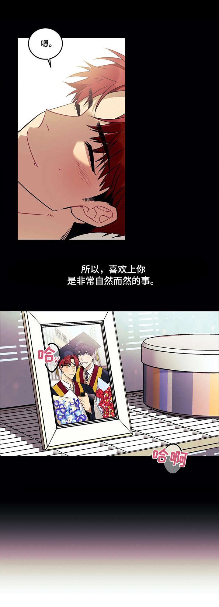 第24章：光