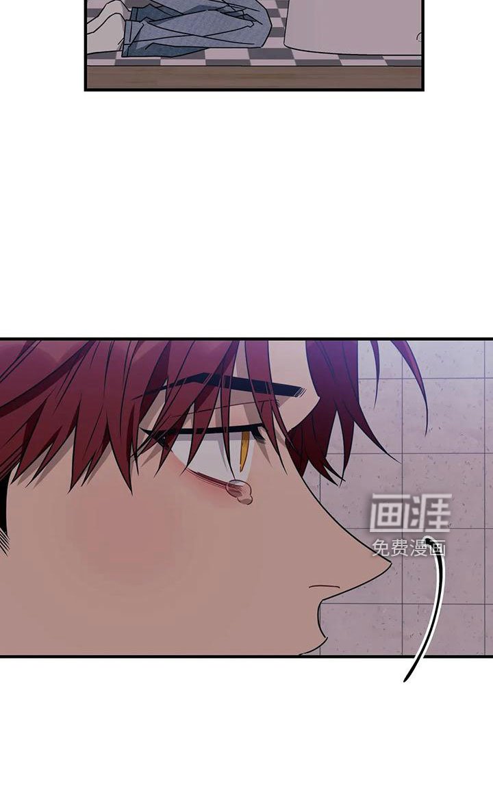 第78章： 【第三季】呕吐