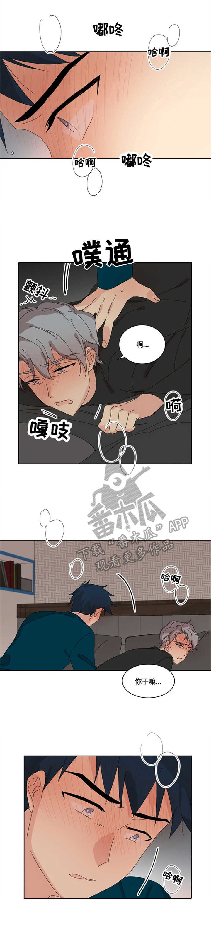 第16章：脆弱