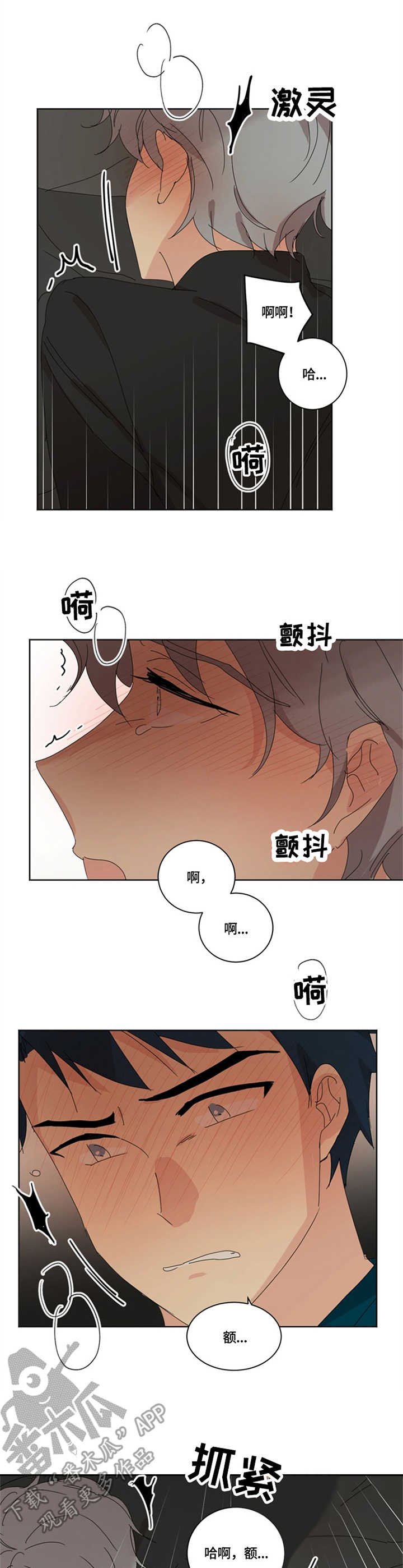 第16章：脆弱