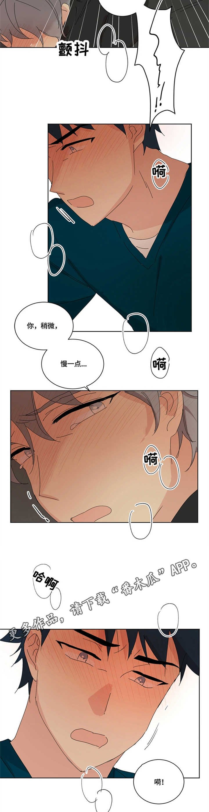 第16章：脆弱