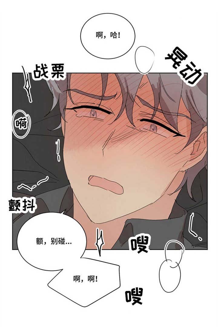 第23章：固执