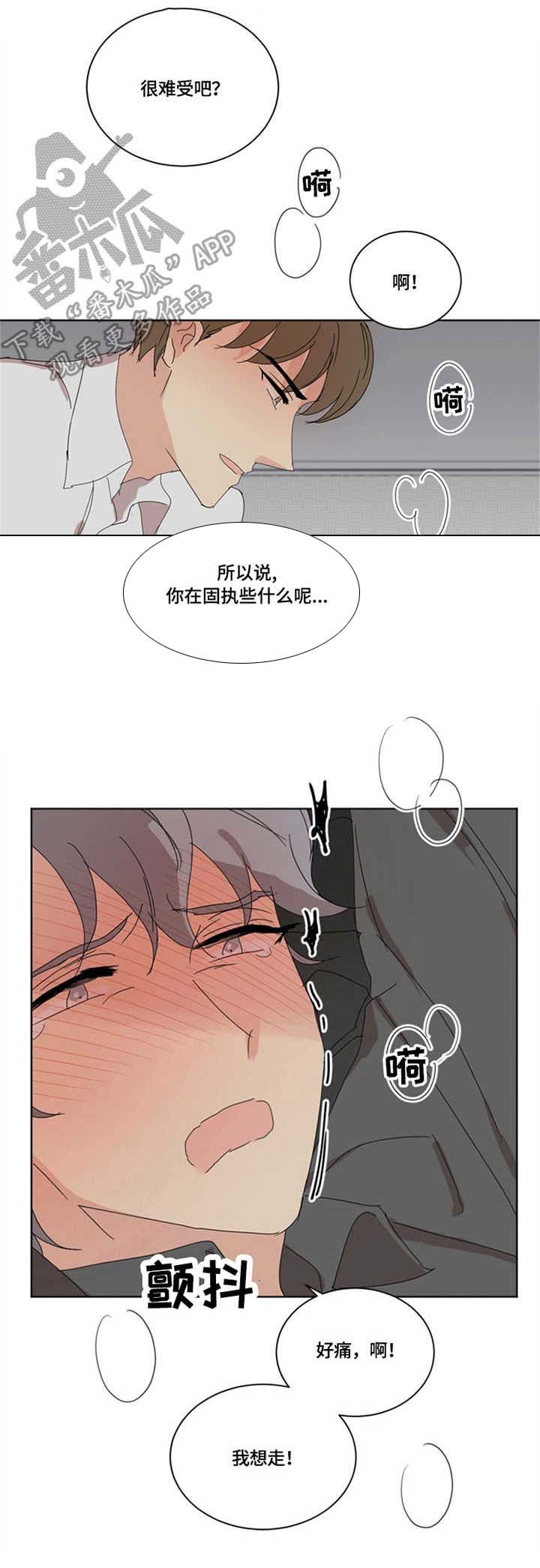 第23章：固执