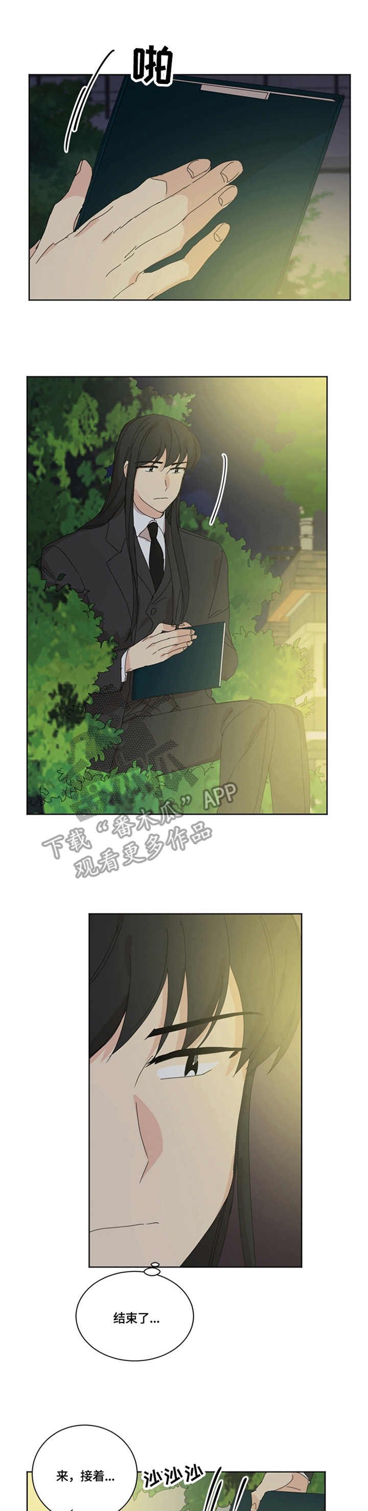 第55章：决定