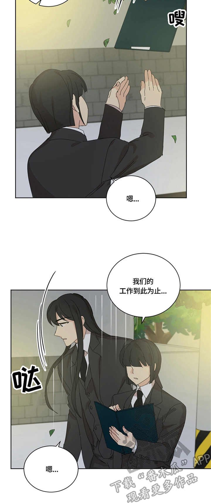 第55章：决定