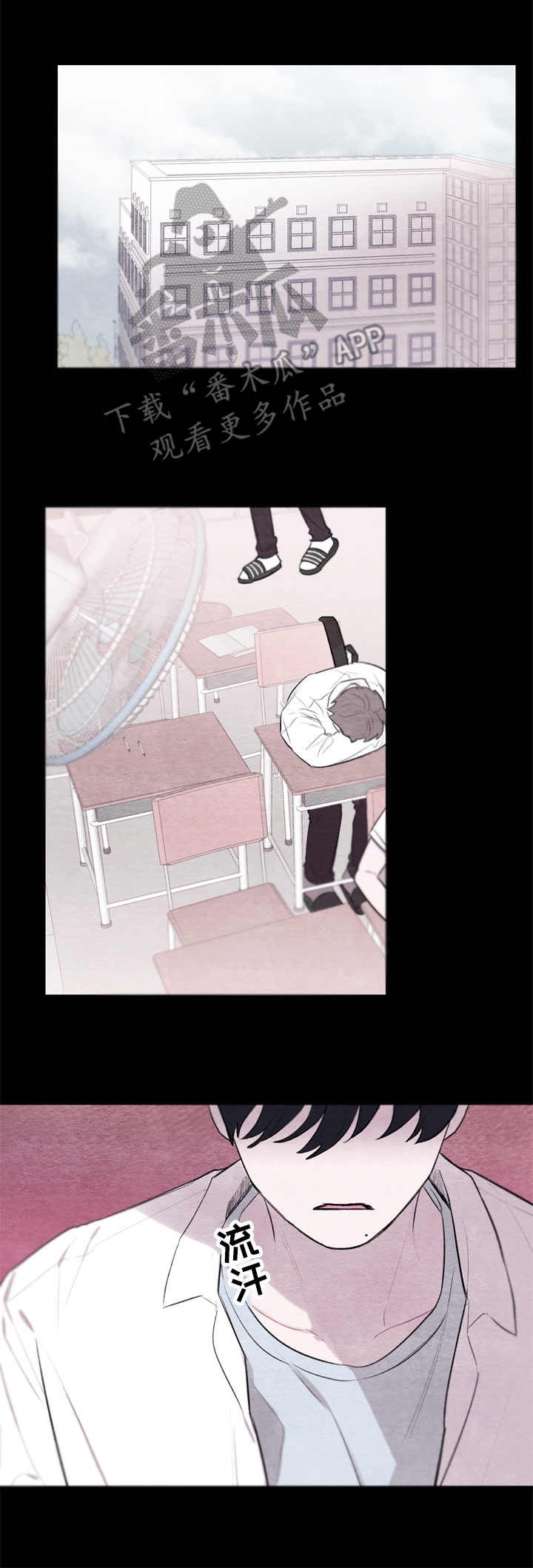第19章：冲突