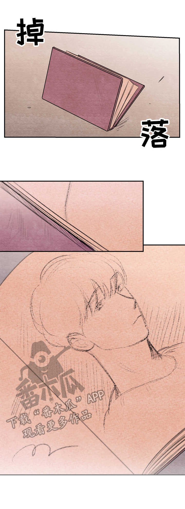 第24章：画像
