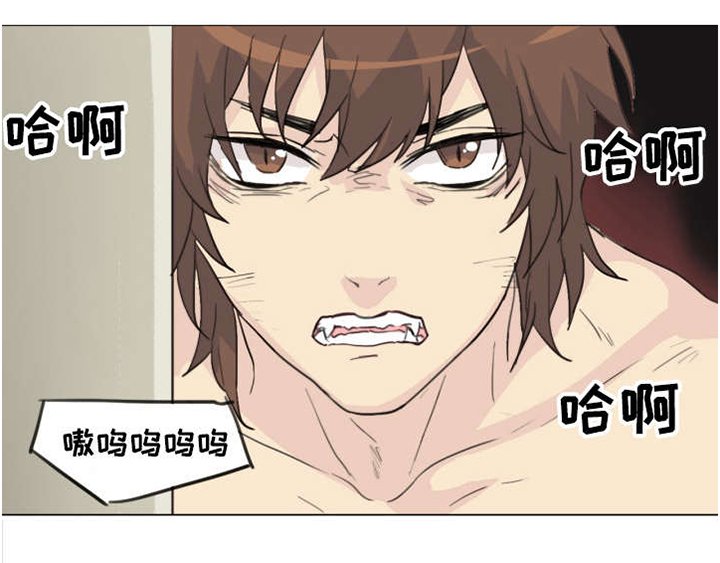 第6章：正事