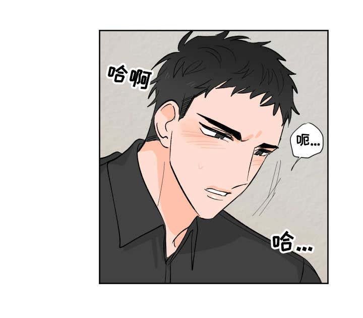 第11章：不同的感觉