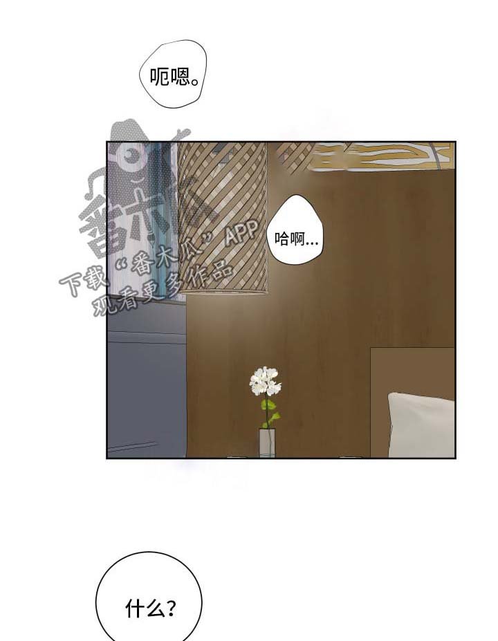 第15章：我全都要