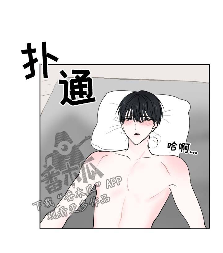 第24章：幻觉