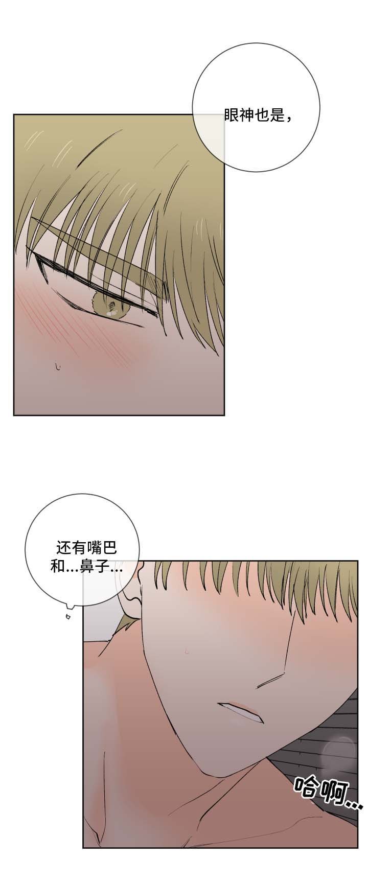 第24章：幻觉