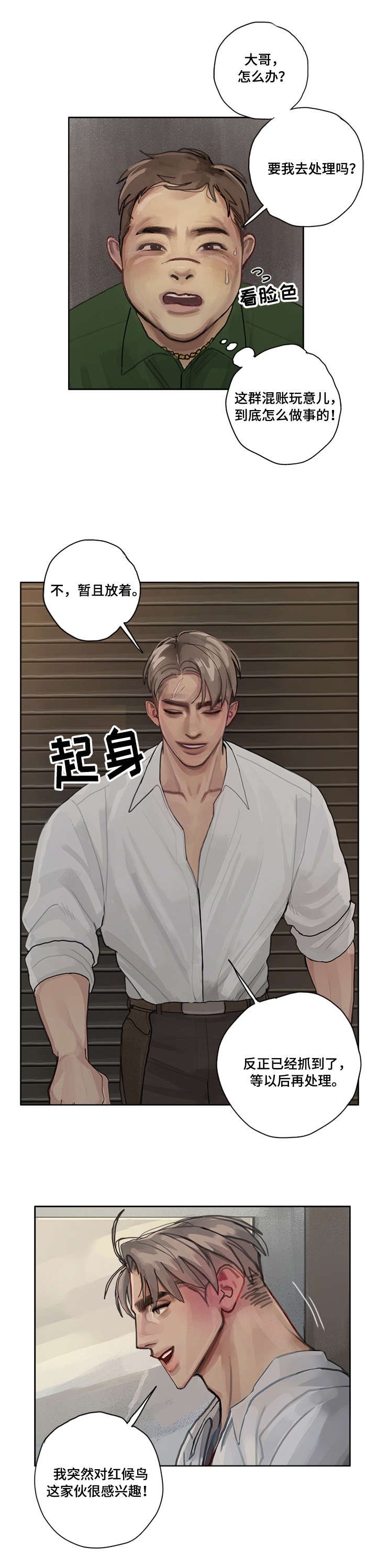 第6章：红候鸟
