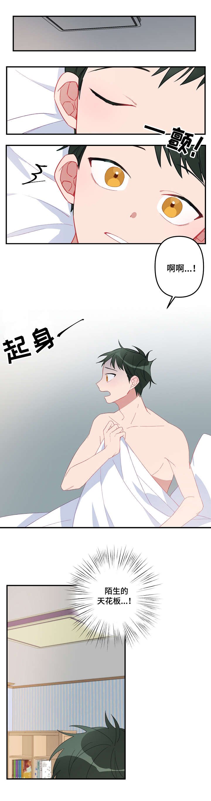 第1章：介绍