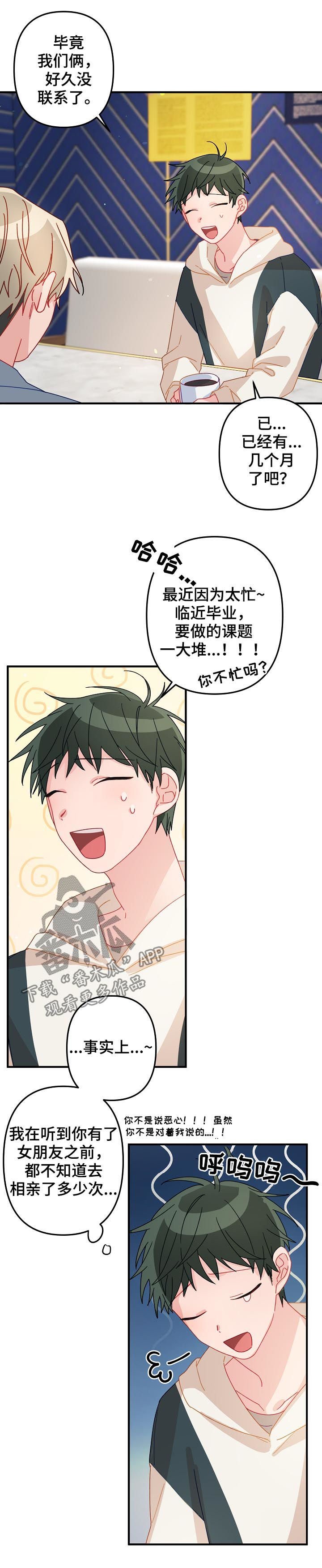 第24章：朋友关系