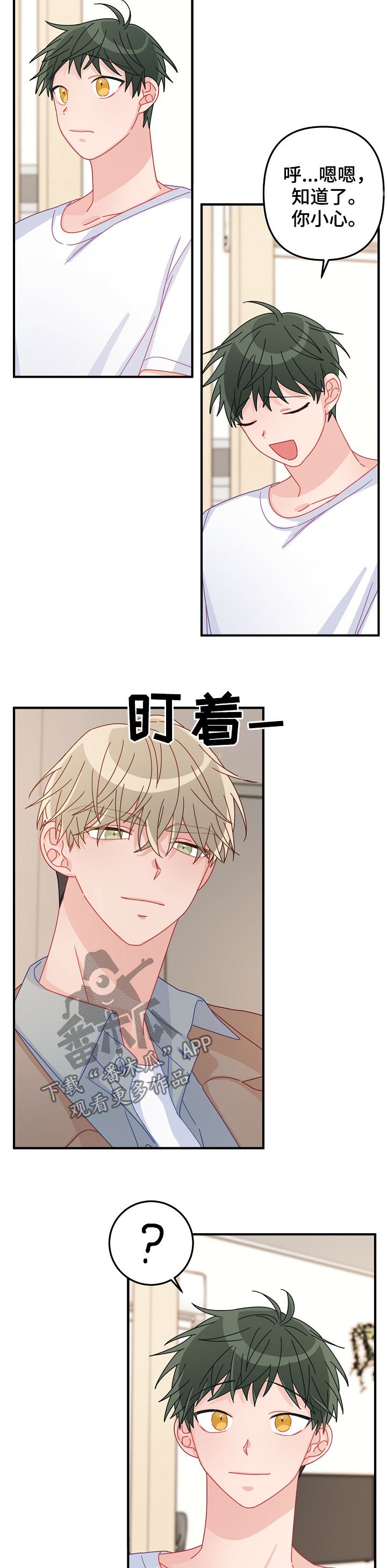 第37章： 忘得一干二净