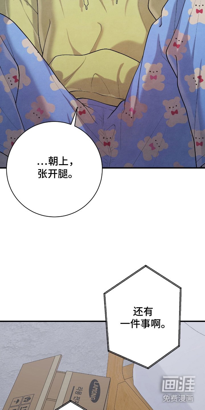 第20章：按照兴致来