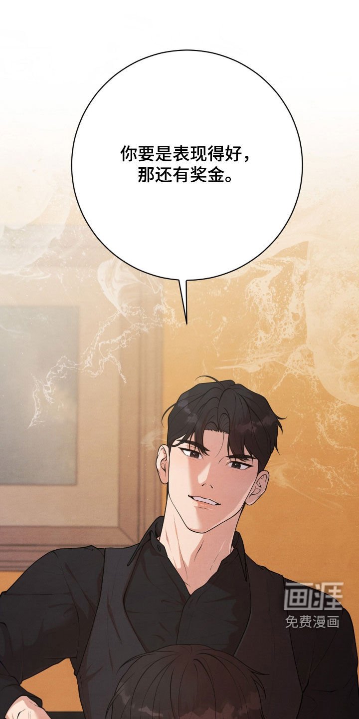 第26章：条件