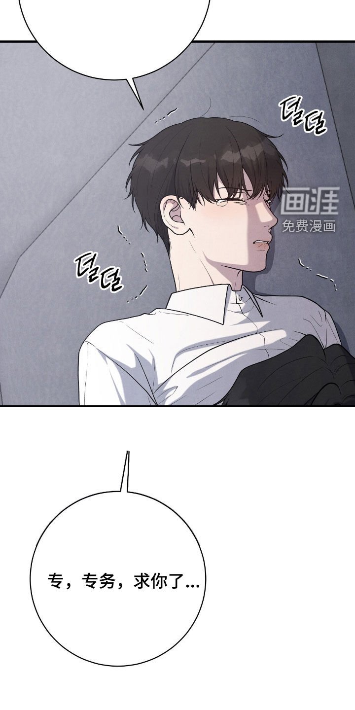 第31章：很听话