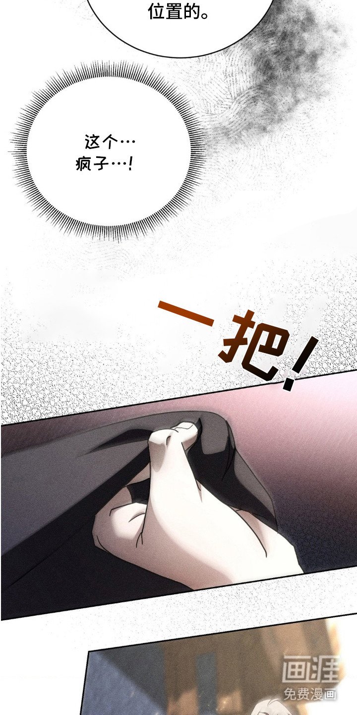 第13章：疯子