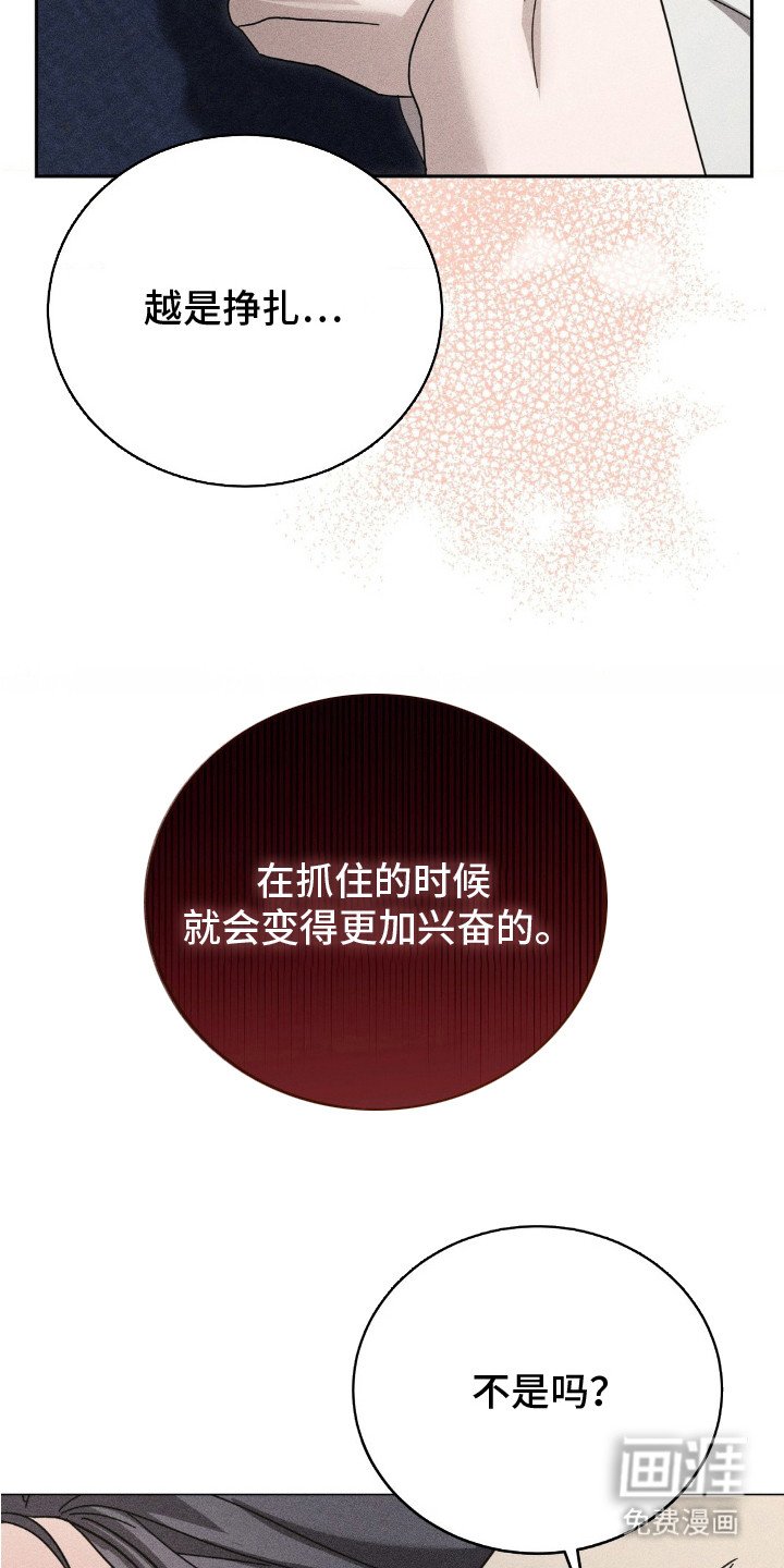 第14章：非常奇怪